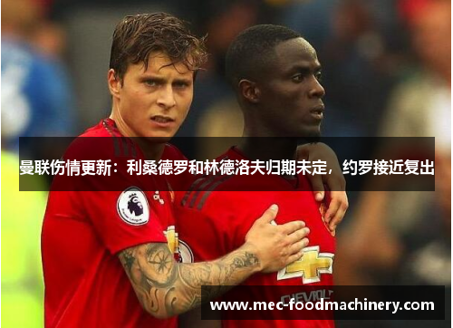 曼联伤情更新：利桑德罗和林德洛夫归期未定，约罗接近复出